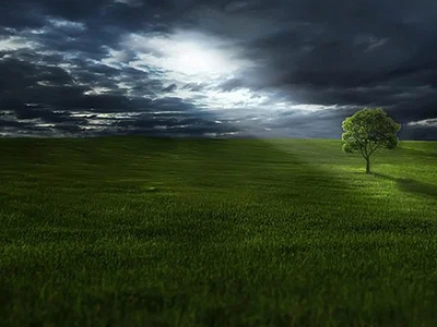 1608876359190863.jpg 2.jpg