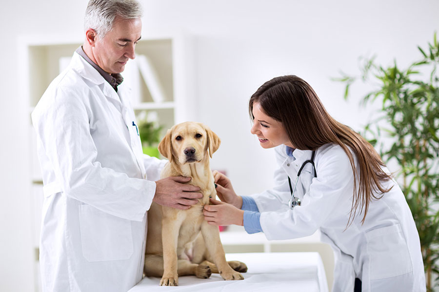 1633307551170766.jpg 1-210RR1051KH.jpg