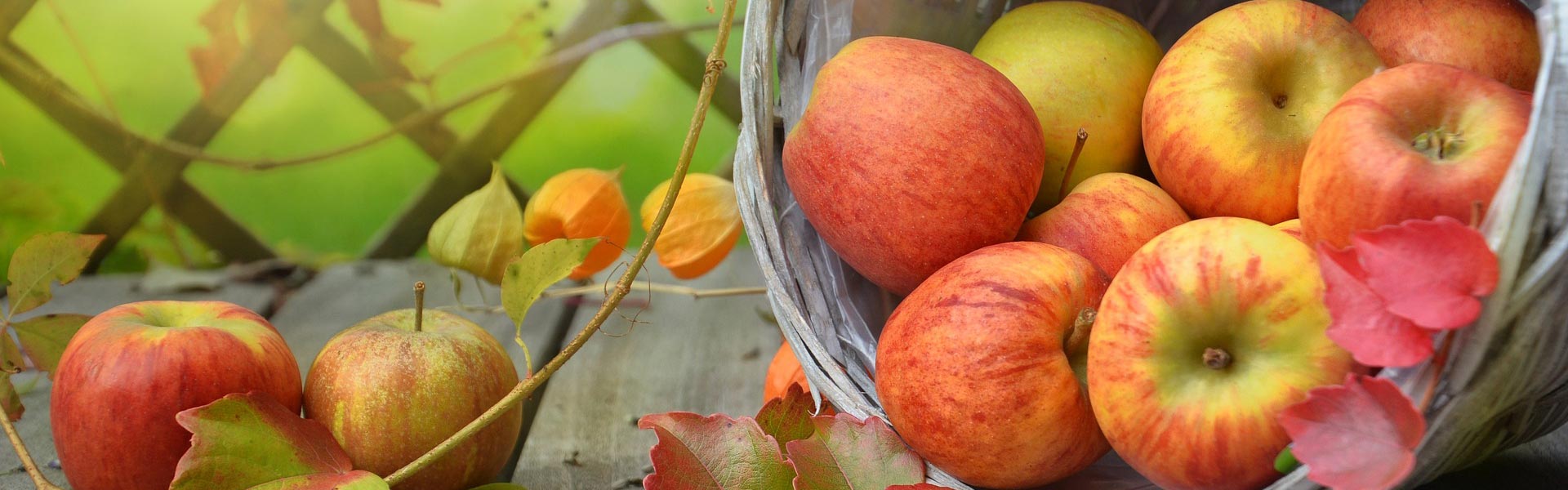 电脑幻灯片1 电脑幻灯片1