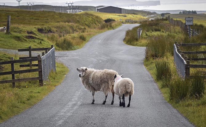某某某有限公司
