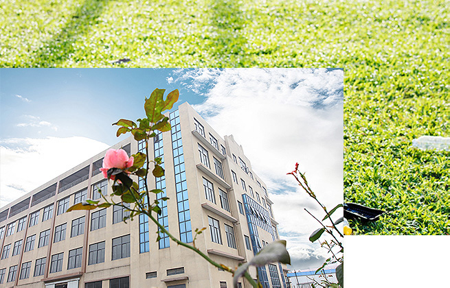 某某某有限公司